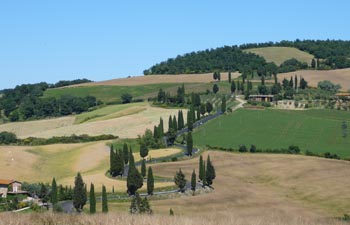 Tuscany winding road